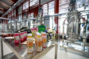 Vale Bioamazônico projeta o Pará no centro da economia da floresta