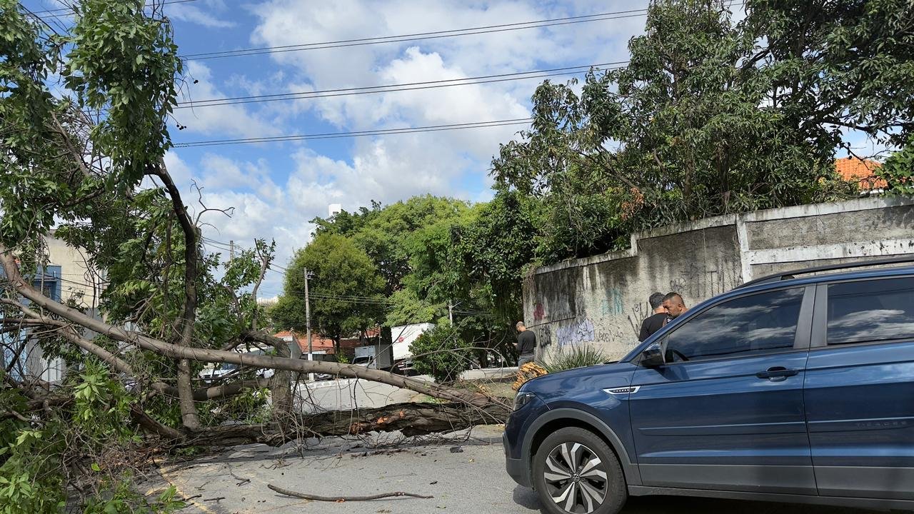 Quando vai acabar a ventania em SP? Entenda