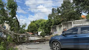 Ventania em São Paulo deixa 1 milhão sem energia e voos cancelados