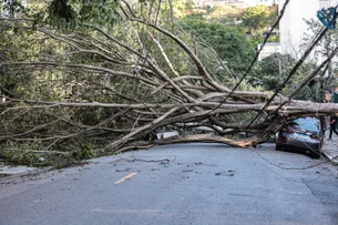 Ventania em SP: clientes da Claro, Vivo e TIM relatam instabilidade no serviço
