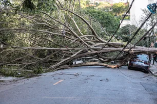 Imagem referente à matéria: Ventania em SP: clientes da Claro, Vivo e TIM relatam instabilidade no serviço