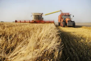 Imagem referente à matéria: Argentina caminha para uma safra recorde de trigo — se o La Niña deixar