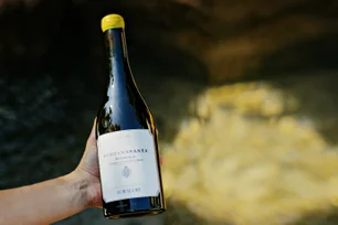 Imagem referente à matéria: O respeitado vinho italiano que talvez você não conheça