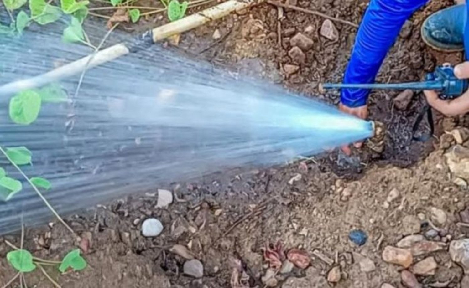 Grupo Pátria vence leilão do bloco de R$ 15 bi de saneamento de Pernambuco