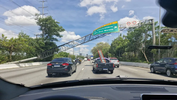 Ventania em SP: Corpo de Bombeiros recebeu mais de 1.500 chamados para quedas de árvore em dezembro de 2025. (Hugo Bittencourt/Arquivo Pessoal/Reprodução)