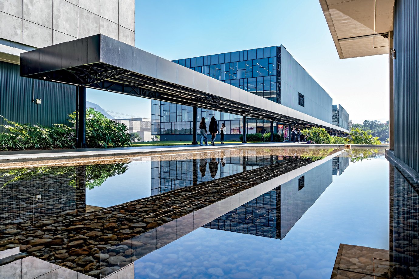 As ilhas de inovação