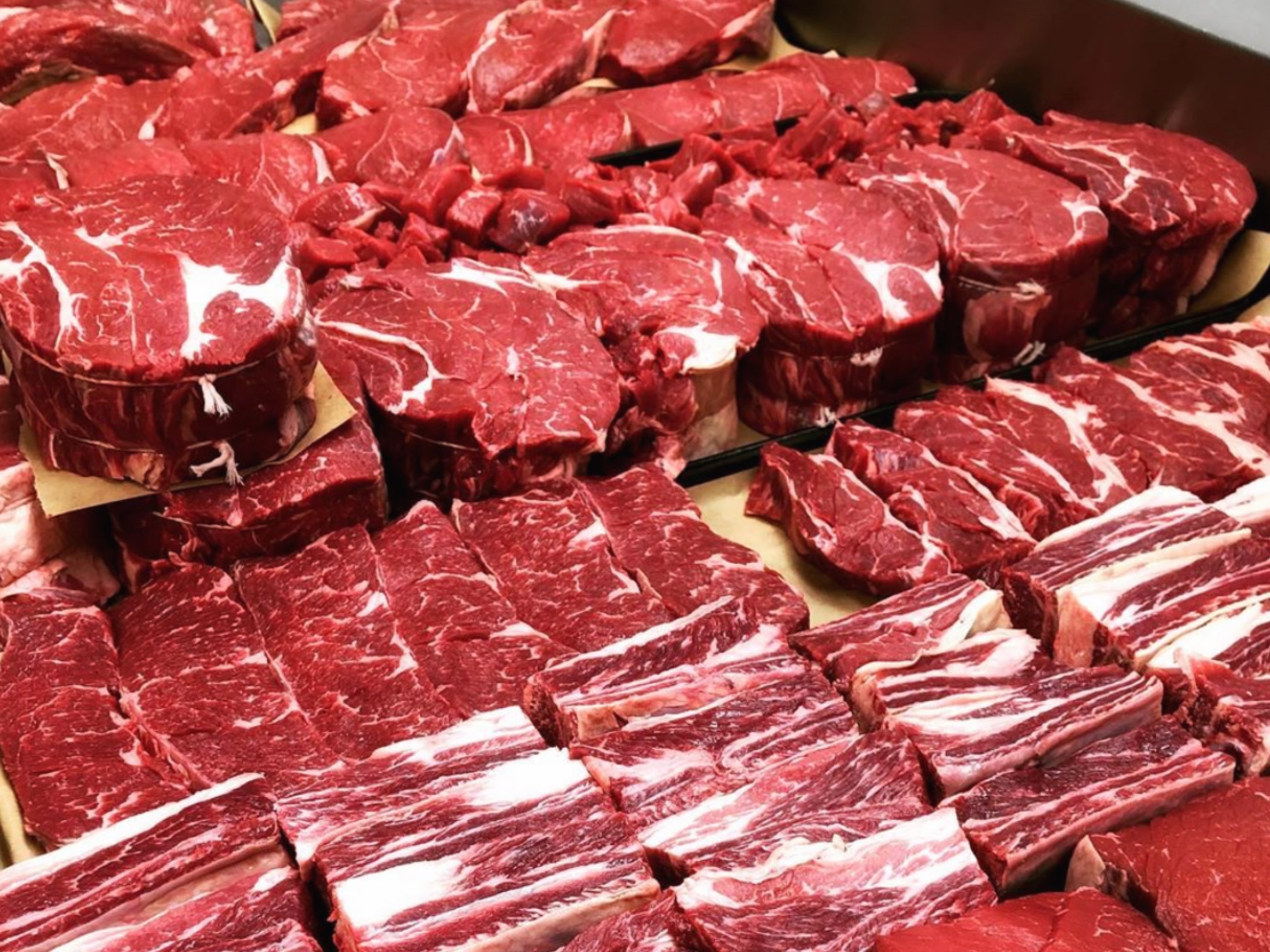 O que é a praga do México que avança sobre a carne bovina dos EUA
