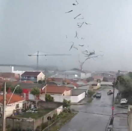Tornado em São José dos Pinhais alcançou 180 km/h