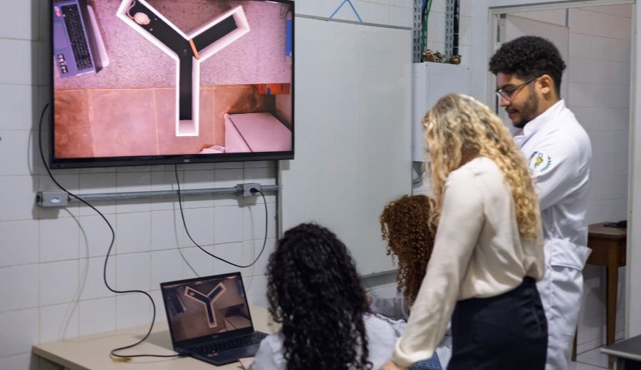 Açaí previne ansiedade e depressão