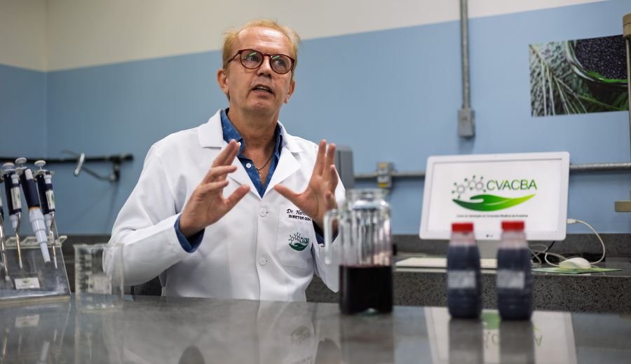 Açaí previne ansiedade e depressão