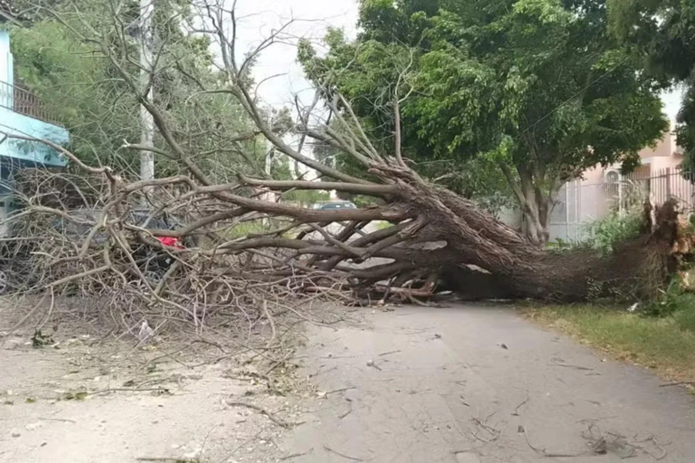 Temporal no RS: Uruguaiana registra ventos de 85 km/h e 6 mil imóveis sem luz; veja vídeo