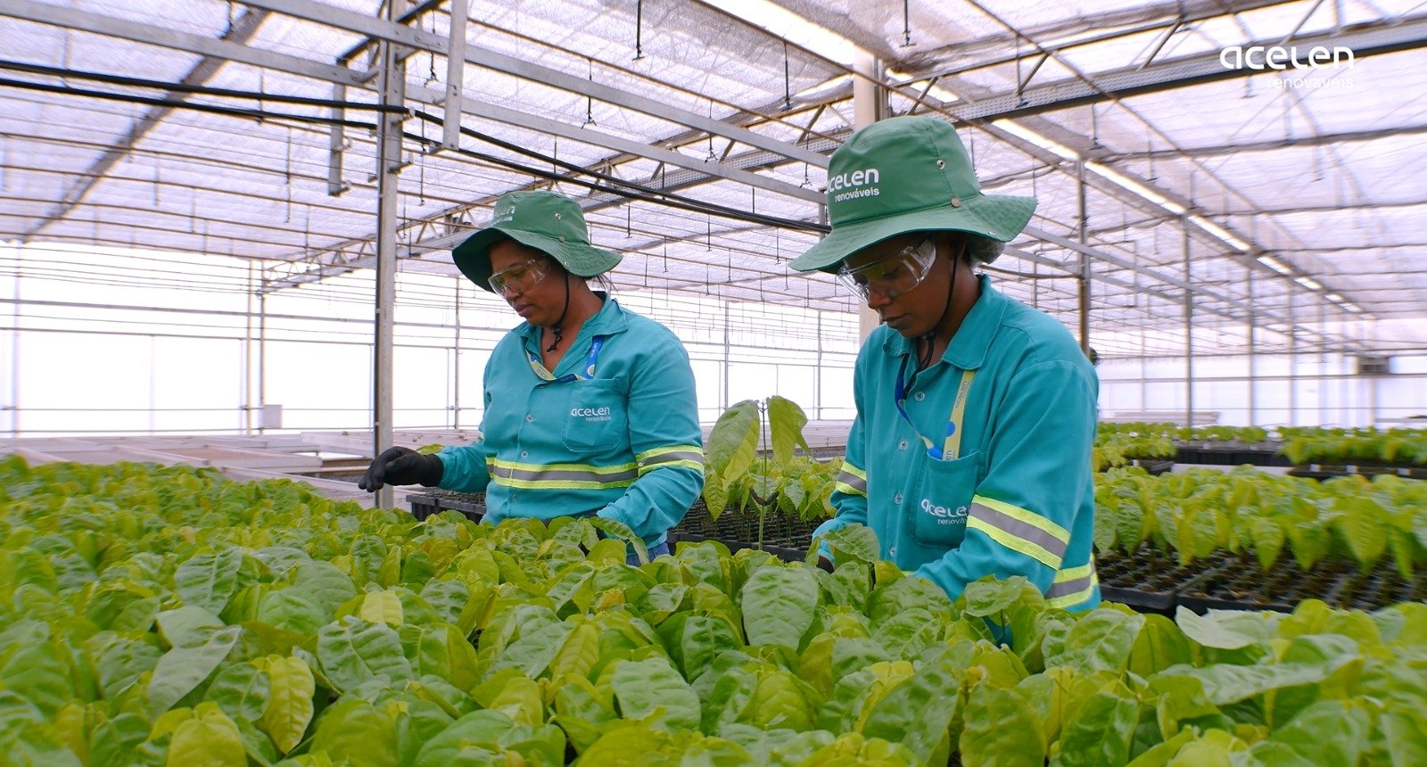 Dia Mundial da Água: iniciativas de empresas pela gestão hídrica no Brasil
