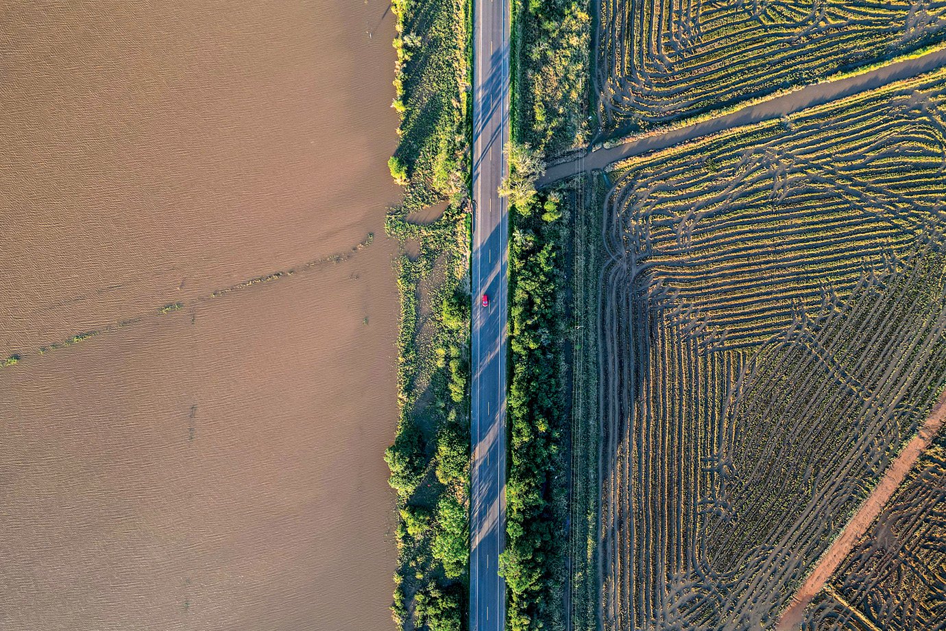 Produção de grãos deve renovar recorde e atingir 356 milhões de toneladas