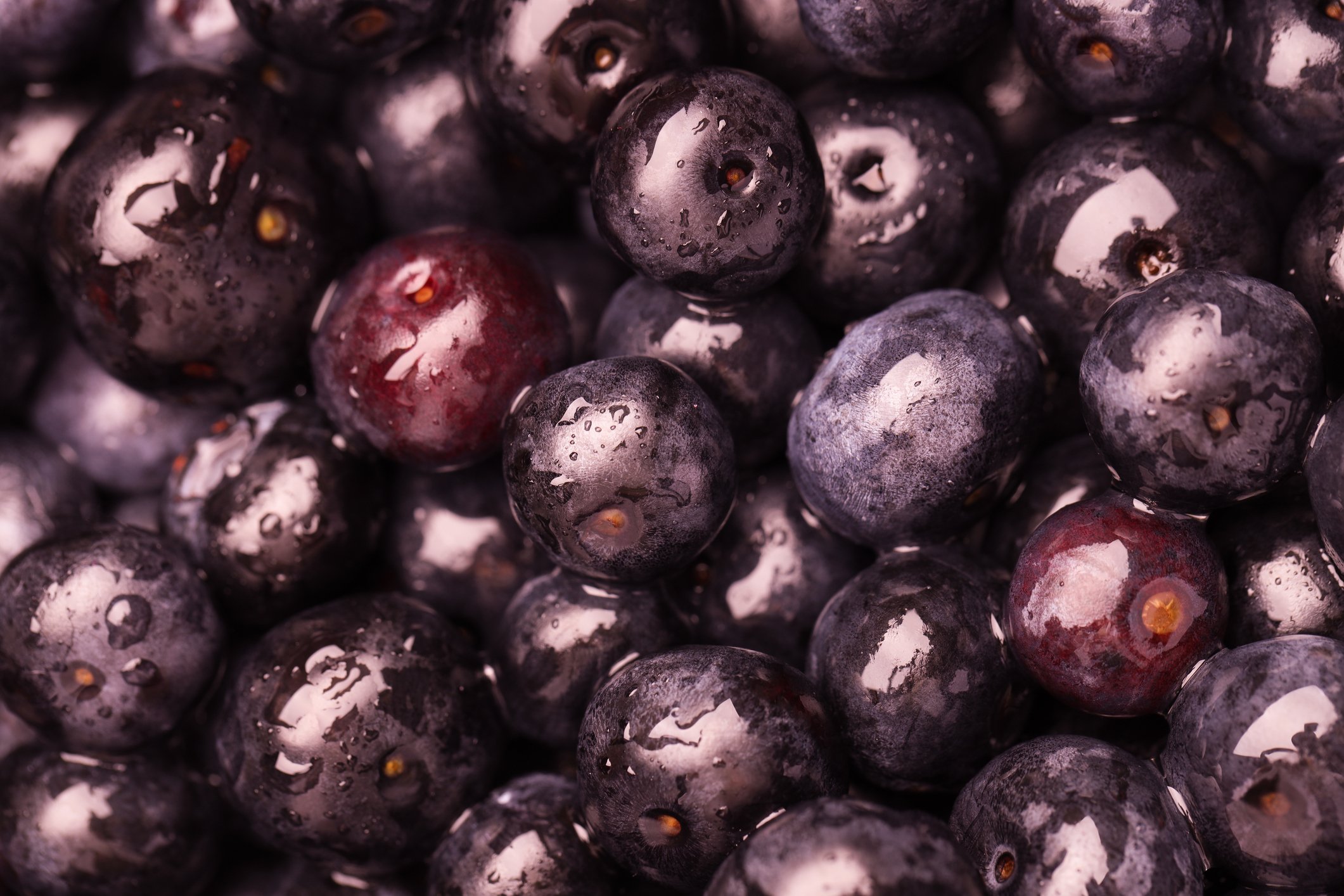 EXCLUSIVA: Os planos da The Best Açaí para aumentar faturamento e dominar os EUA