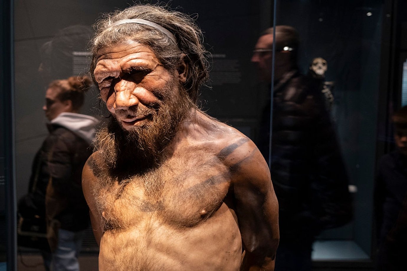 Falta de conexão pode ter levado neandertais à extinção, revela estudo