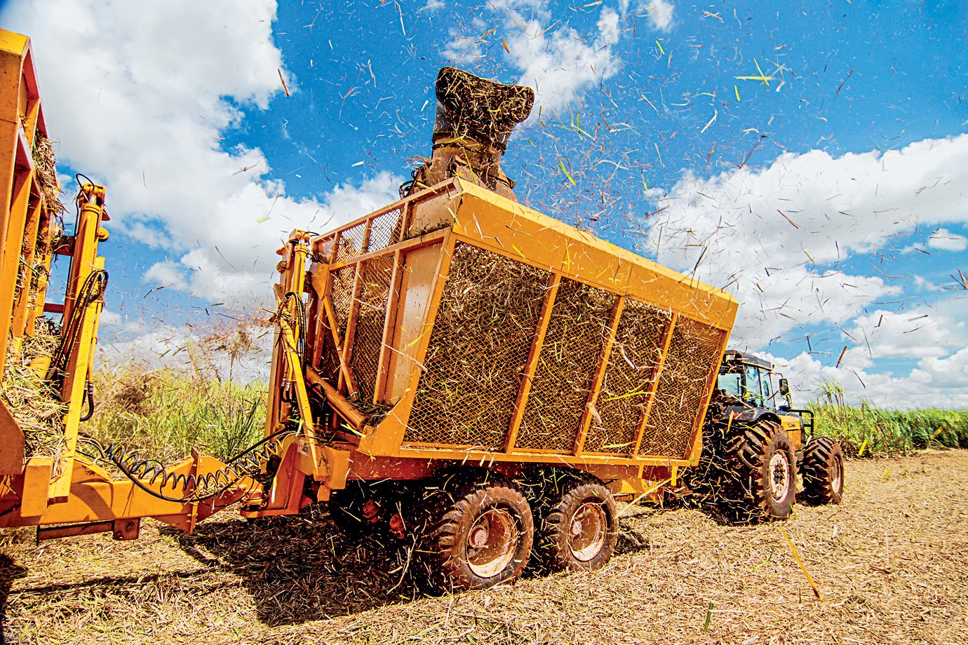 CAE mantém votação de renegociação bilionária do agro apesar de alerta do governo