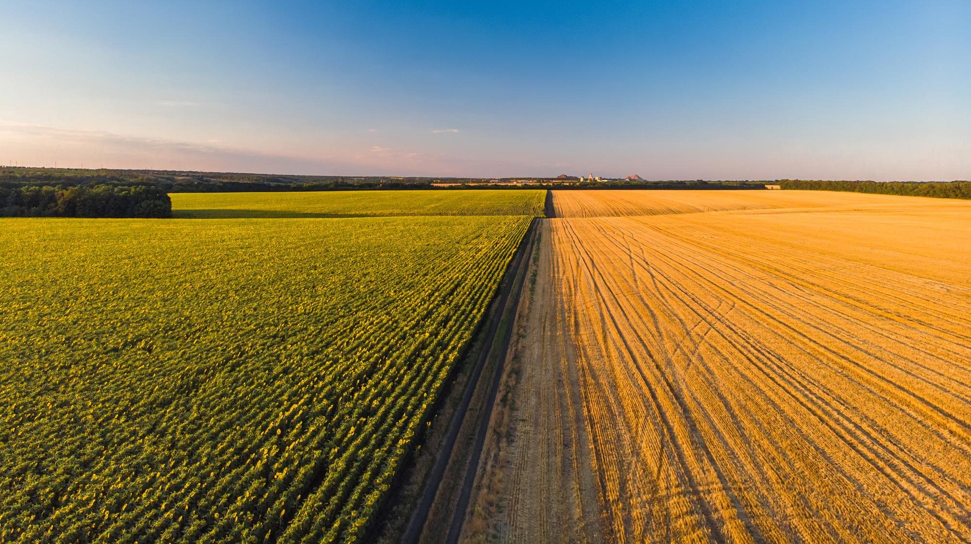 SuperAgro 2026 chega a São Paulo para debater o futuro do agronegócio