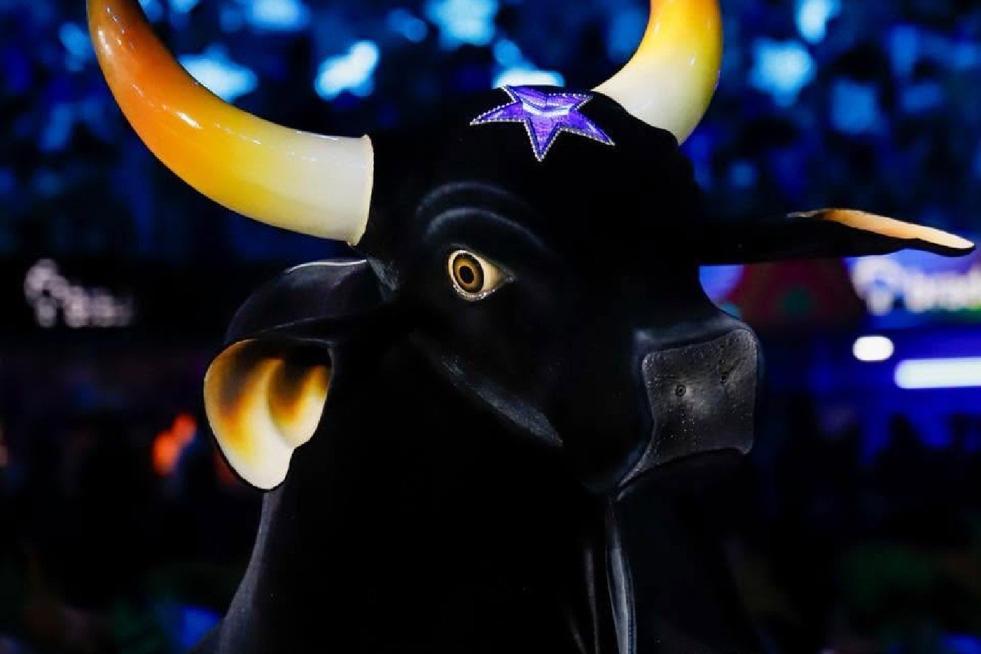 Boi Caprichoso é o campeão do Festival de Parintins 2026