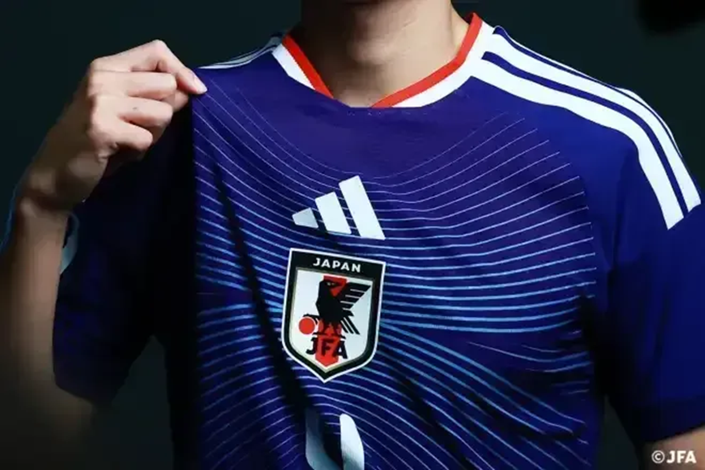 Corvo de três patas: por que o símbolo aparece no escudo do Japão?