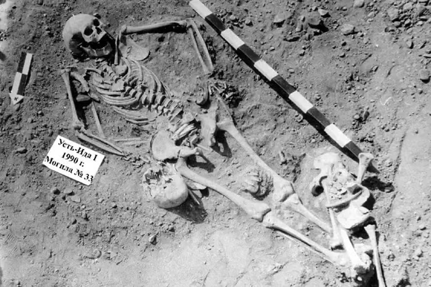 Descoberta na Sibéria pode reescrever a história da peste na humanidade