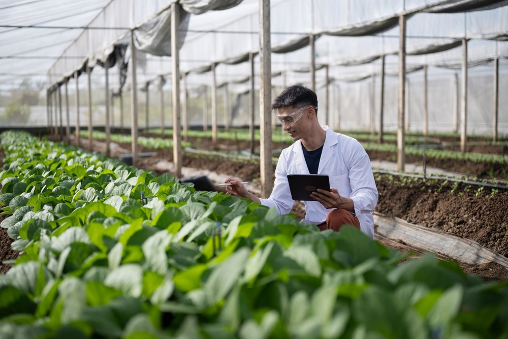 Dia do Agricultor: A inovação no campo começa com quem produz