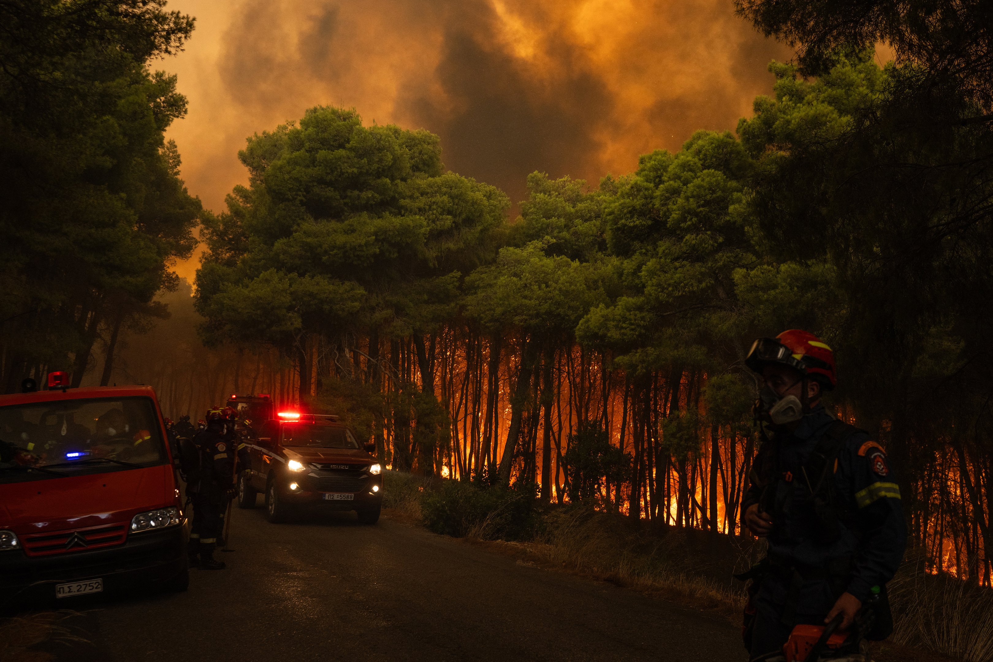 Grécia enfrenta incêndios florestais que já devastaram 16 mil hectares