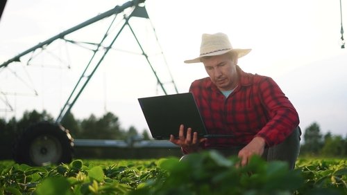 Fertilizantes e geopolítica: por que inovação será decisiva para o Brasil