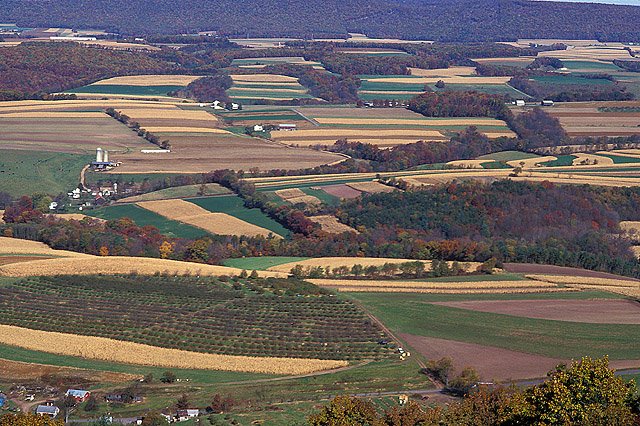 A IA chegou ao campo, e agora disputa terra, energia e água com o agro