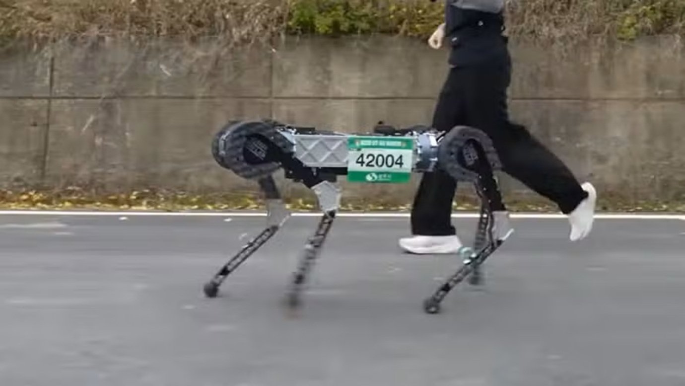 Cão-robô completa maratona e supera tempo médio de corredores humanos