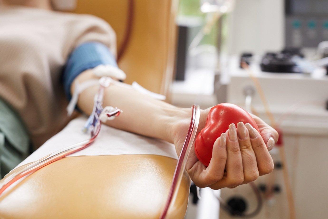 Testemunhas de Jeová alteram regra sobre transfusão de sangue; veja o que muda
