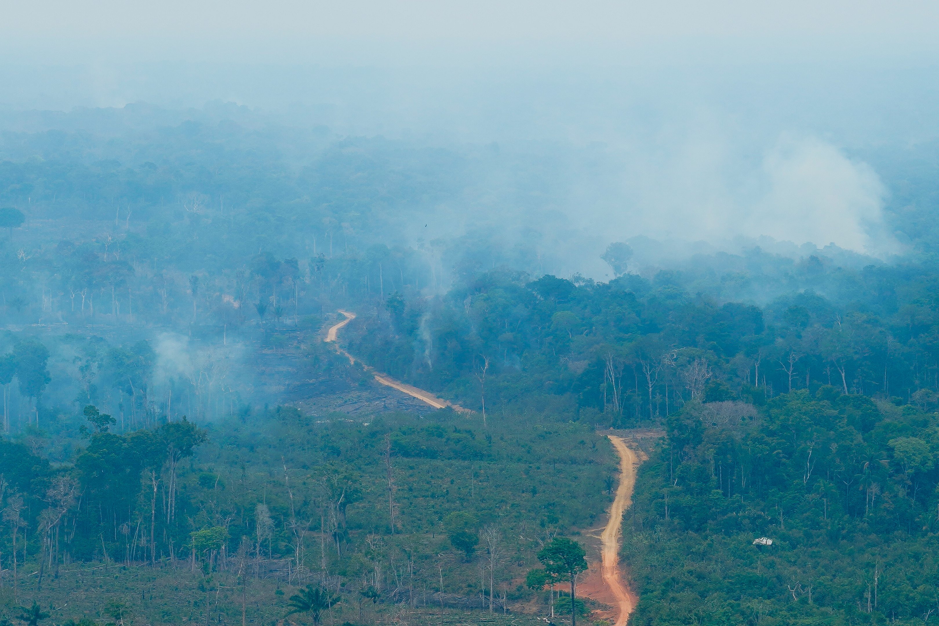 Fogo vira caso de polícia no Amazonas, e fumaça acompanha Manaus até as urnas