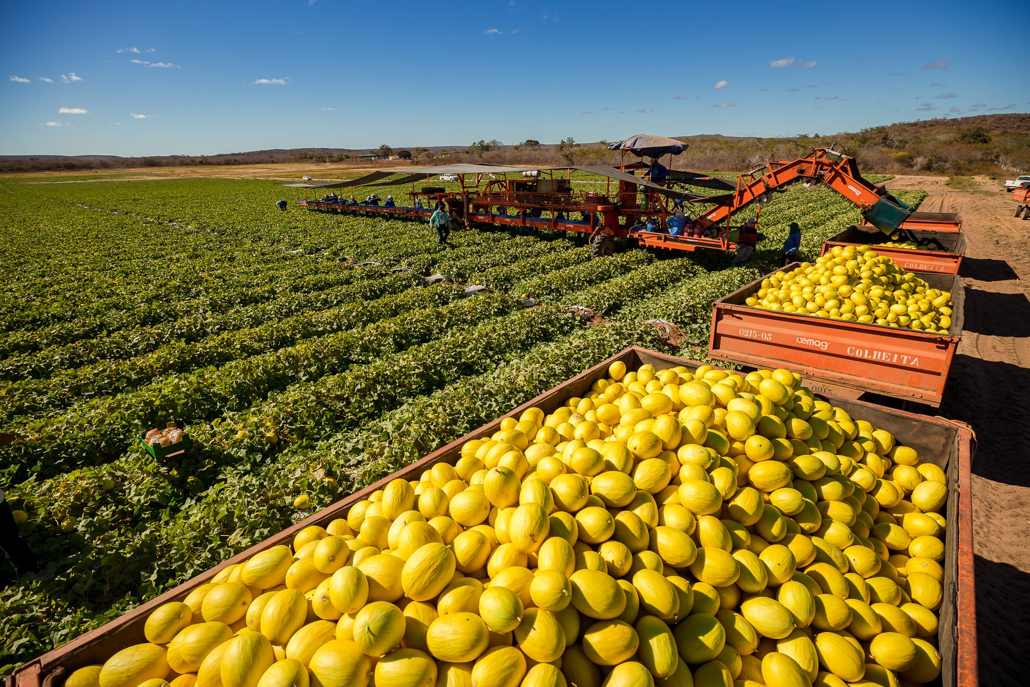 Marketing no agro é destaque no GAFFFF: a nova fronteira de rentabilidade
