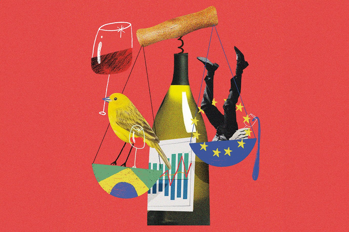 Entenda: Uma adega de memórias