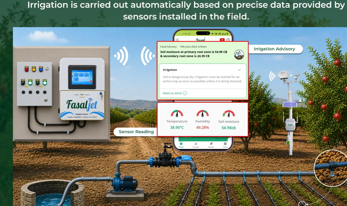 Sistema da agritech indiana Fasal usa IA para emitir alertas sobre irrigação nas plantações