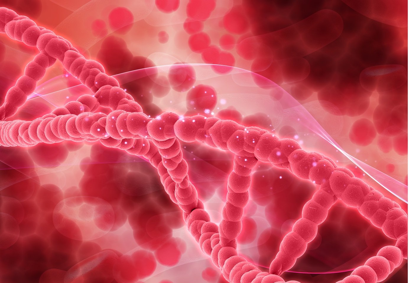Cientistas descobrem 'vício em energia' de células que impulsionam câncer no sangue